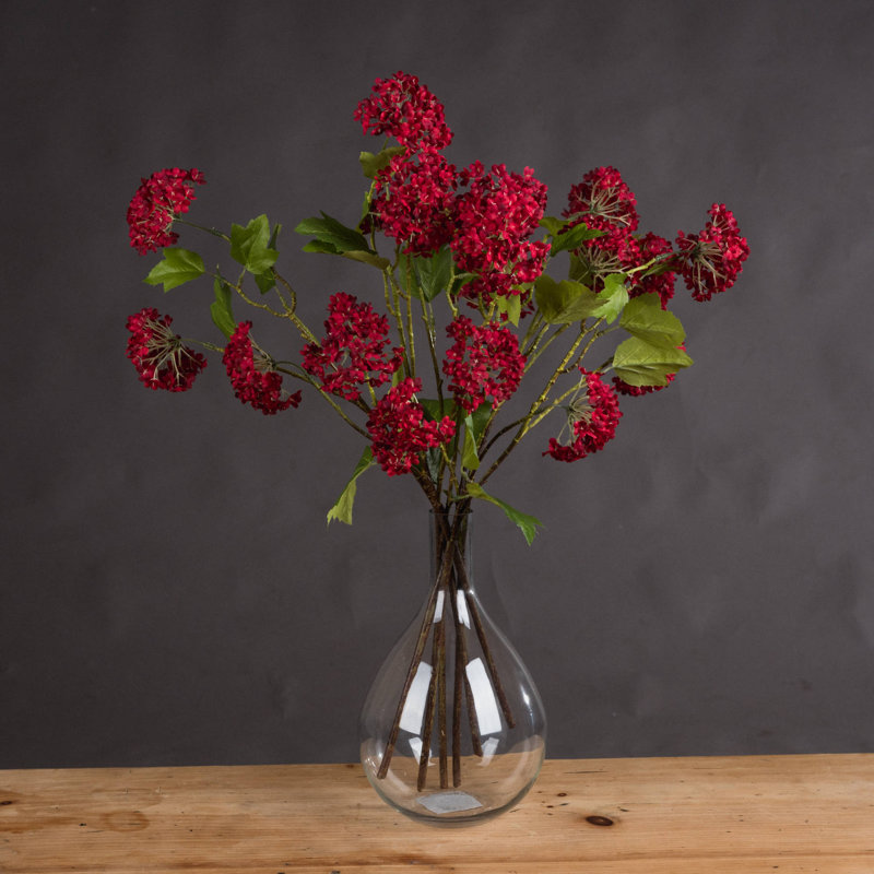 Anastasija Arrangement