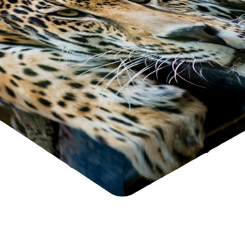 Microfiber Fitted Sheet, Twin XL Fitted Sheet