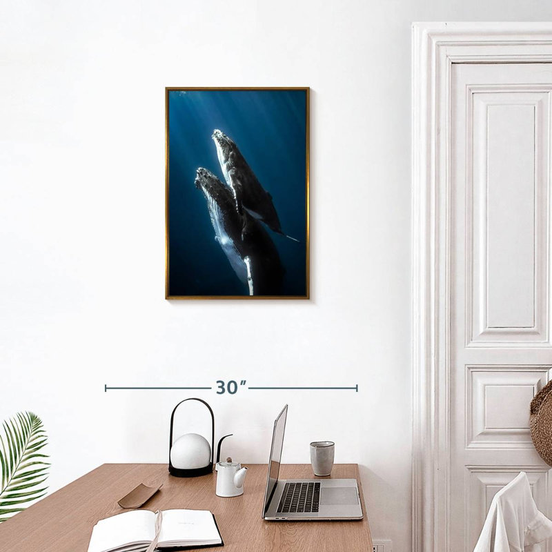 Baleine à bosse et son veau, Cadre flottant doré, 17 po x 25 po
