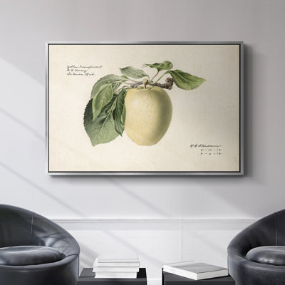 " Vintage Botanical - XLV " Oil Print