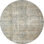 Oriental Indoor Rug