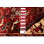 Tapis rouge Sarabi 9 pi 9 po x 12 pi 2 po