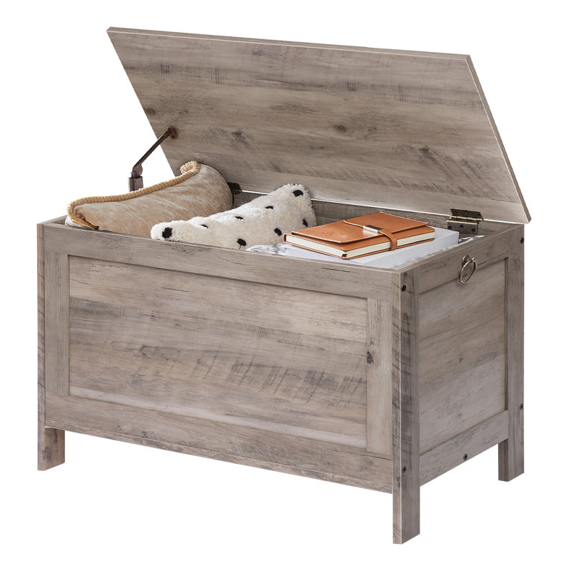 Val Blanket Storage Chest with Flip Top, Greige
