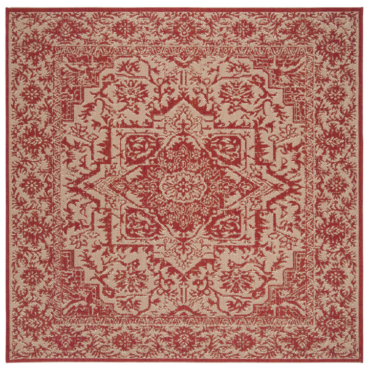 Donivin 100 Performance Oriental Indoor/Outdoor Area Rug