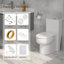 Toilette moderne une pièce, hauteur de siège confortable avec double chasse entièrement vitrée (siège inclus)