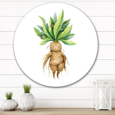 Mandragora plante - art mural traditionnel cercle en métal