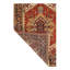 Faize Oriental Area Rug in Rust