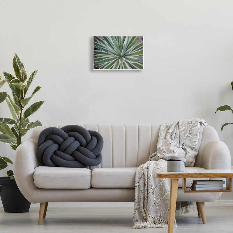 «Centric Succulent Leaves» par Susan Bryant, H 10 po x l 15 po