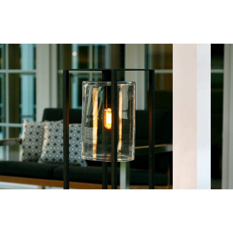Dome LED Pathway Light, Clear, Black