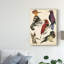 « oiseau collection ii », reproduction de peinture à l’acrylique sur toile tendue-1971627992