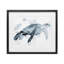 Weathered Sea Turtle Framed Print Under Glass, design by Marcus Prime-147913791-147913793