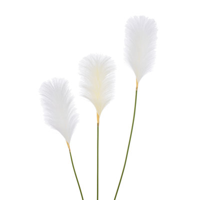 Polyethylene (PE) Pampas Arrangement