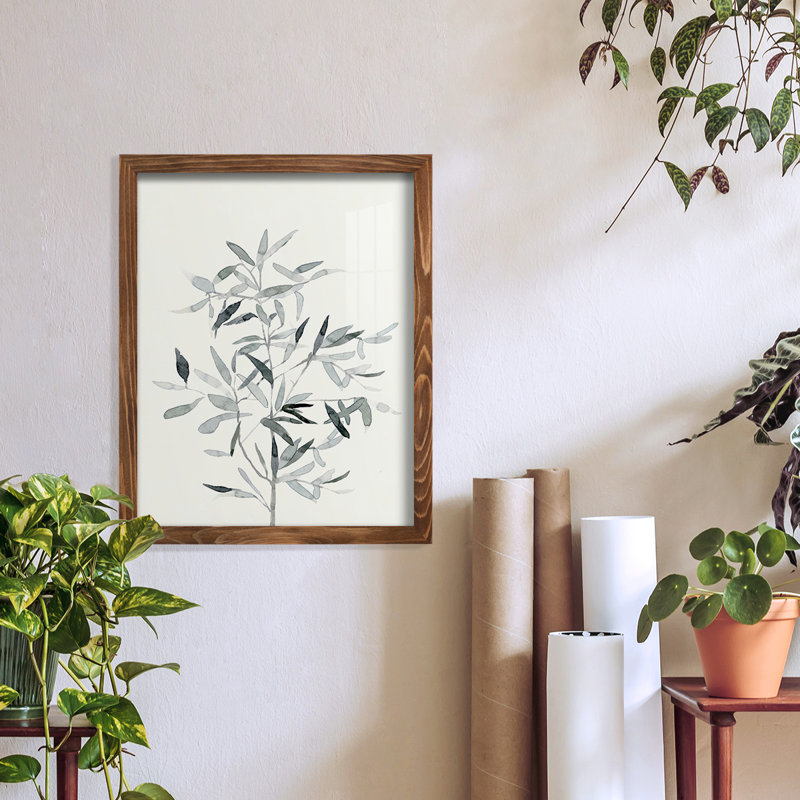 «Chereen Delicate Sage Botanical VI», reproduction d'un seul cadre, H 15 po x l 12 po x P 1 po, Noyer