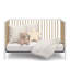 Teddi 5-In-1 Convertible Crib-98727688