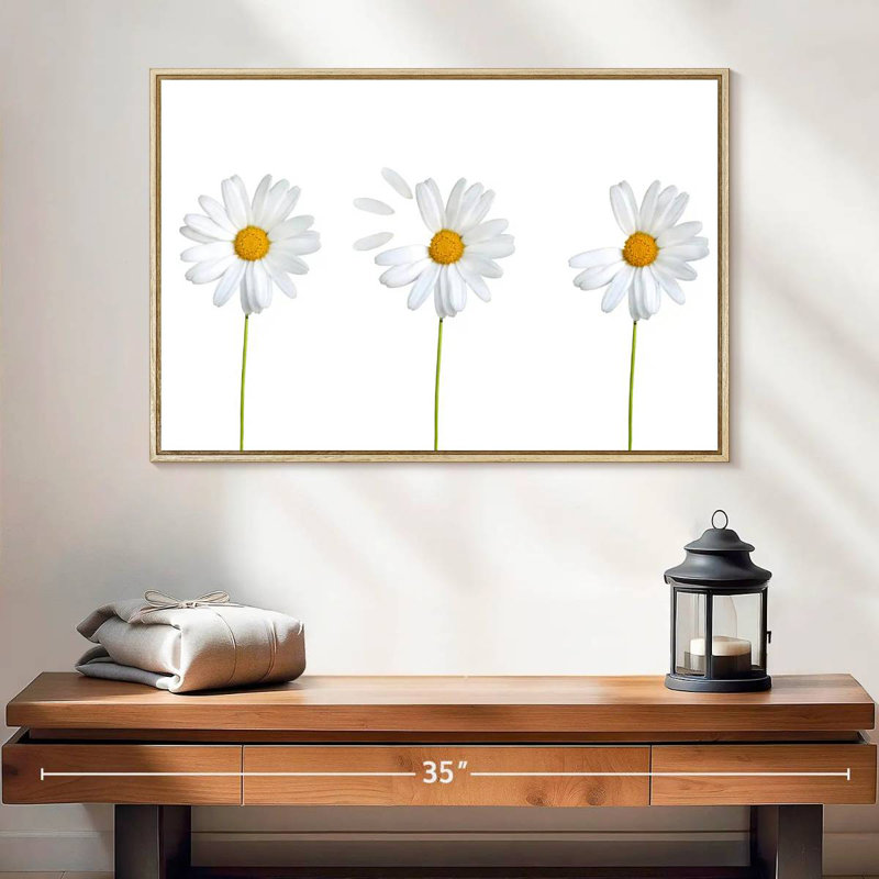 Marguerites plumées, Cadre flottant en bois naturel, 31 po x 21 po