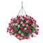 Paire de paniers suspendus Eucalyptus artificiel 16 po