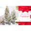 Arbre de Noël enneigé de 2 pi avec 30 lumières DEL chaudes, 189 pointes réalistes et 3 branches de pin pour un décor de table festif avec tablettes de 24 pouces