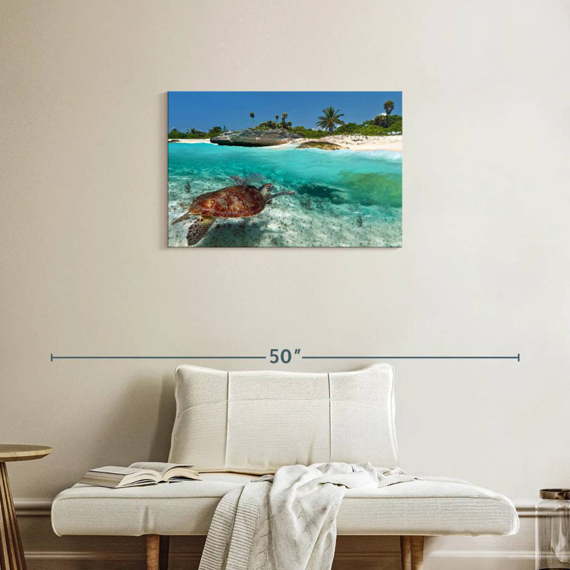 Caraïbes, île des tortues, H 20 po x l 30 po