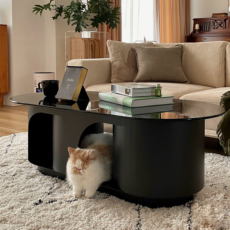 Table basse Peekaboo moderne et simple, Noir / transparent, Noir, noir, noir, noir