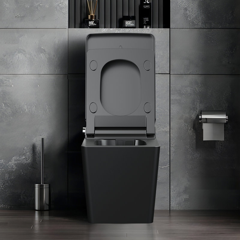 Toilette à bidet HUCI Intelligent GPF 1,28 gallons GPF, Noir mat