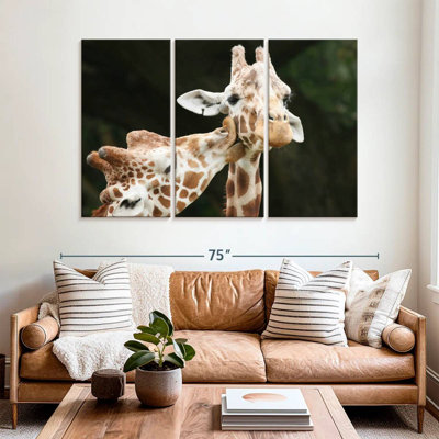 Brampt embrassant des girafes