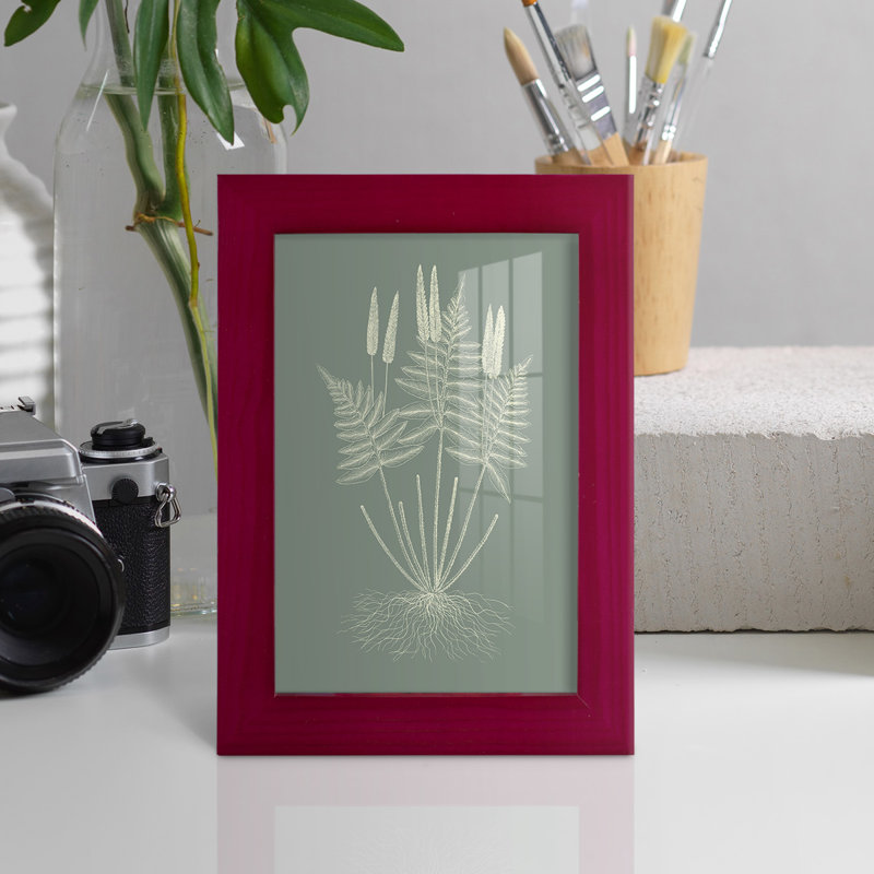 Ferns On Sage VII, encadré sur papier, Rouge, H 6 po x l 4 po x P 1 po
