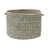 Ruppie maritime est en rupture de stock