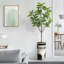 Arbre artificiel dans un pot à fleurs texturé blanc minimaliste moderne-104351677