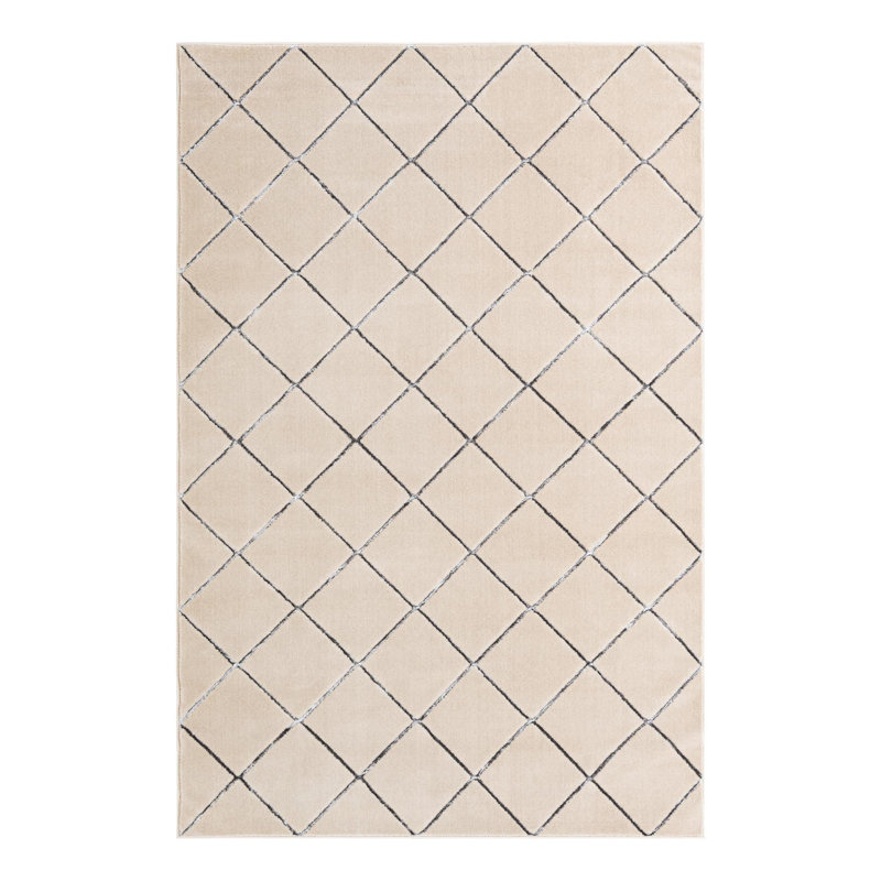 Latitude Run® Checks Novica Rug White and Silver, Rectangle 6'1" x 9'
