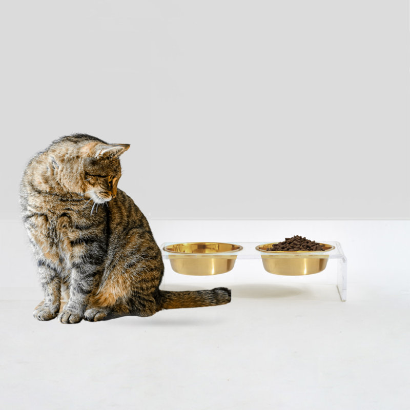 Clear Elevated Feeder with Gold Bowls, 1.5 cups