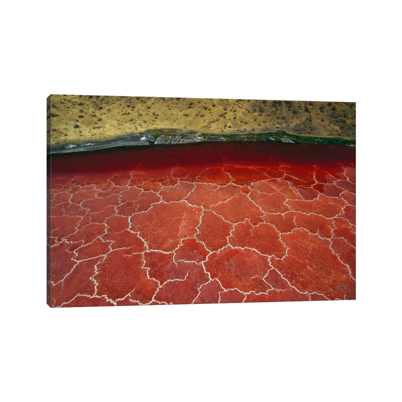 Soda And Algae Formations Near Shore Of Lake Natron, Great Rift Valley, Tanzania by Gerry Ellis - Wrapped Canvas Print