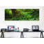 «Hoh Rainforest, Olympic National Forest, Washington», reproduction de photo sur toile-19981098-71997065
