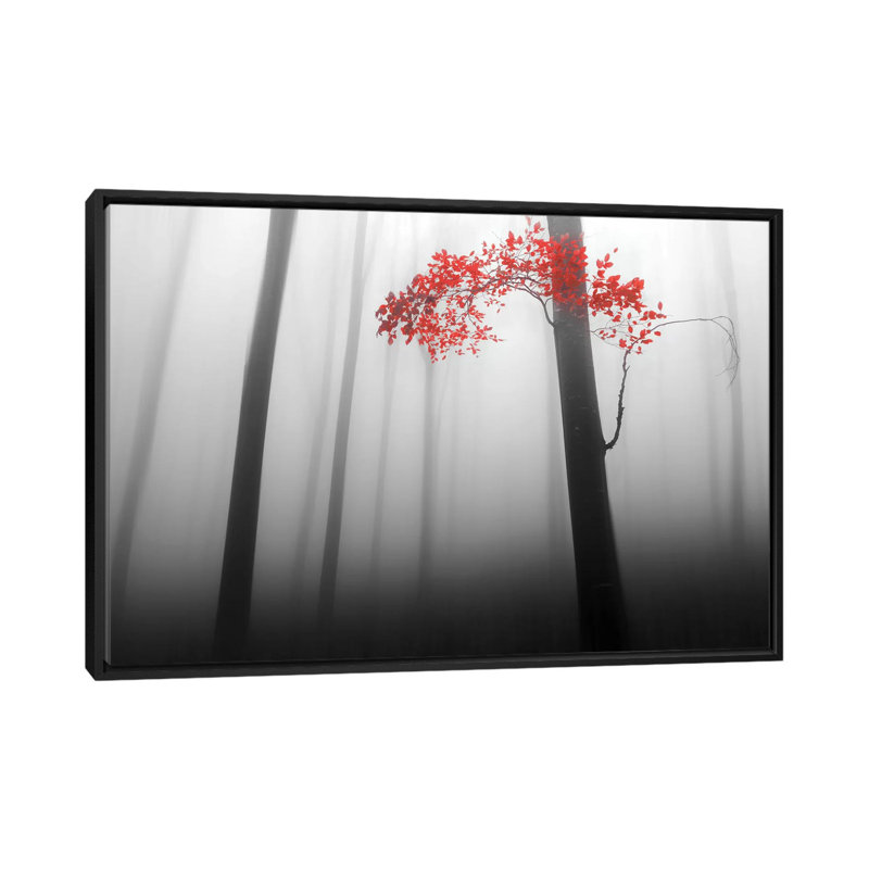 «Illusion», impression sur toile, H 18 po x l 26 po x P 1,5 po, Toile avec cadre noir, Pas de tapis