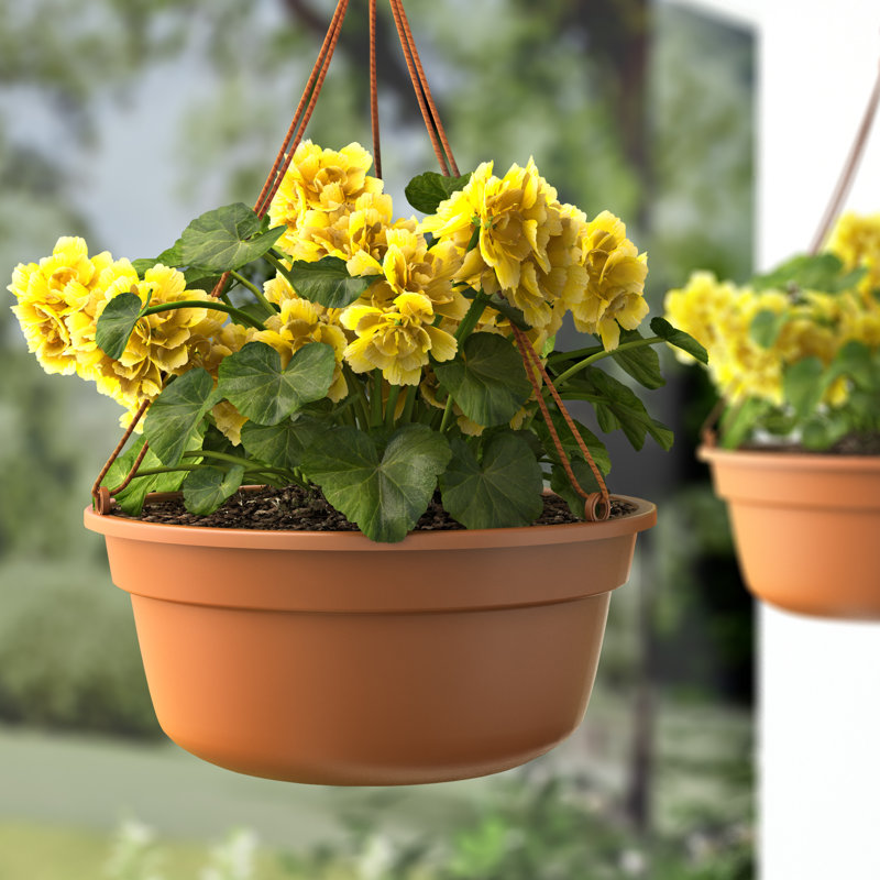  Dura Cotta 6.8 in. H X 12.5 in. W X 12.4 in. D Resin Hanging Basket Terracotta, 6.75" H x 12.5" W x 12.5" D, Terra Cotta