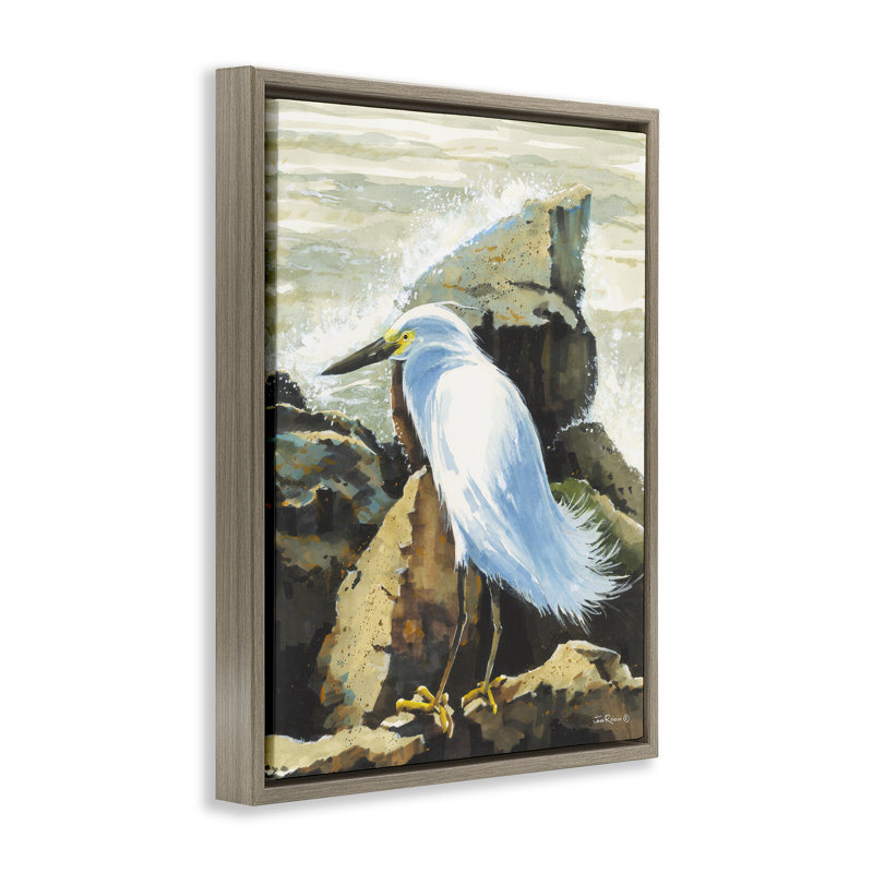 Cadre flottant Rocky Perch Coastal Cliff Bird, design par John Rossini, H 21 po x l 17 po, Cadre flottant orme Montalcino