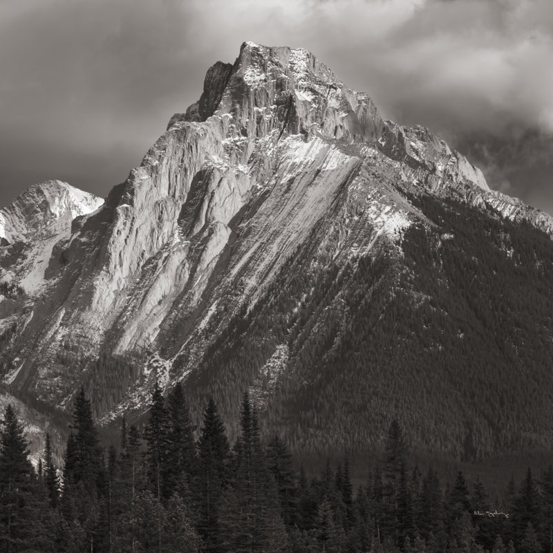Canadian Rockies by Alan Majchrowicz, 30" H x 30" W