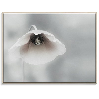 Print on Canvas