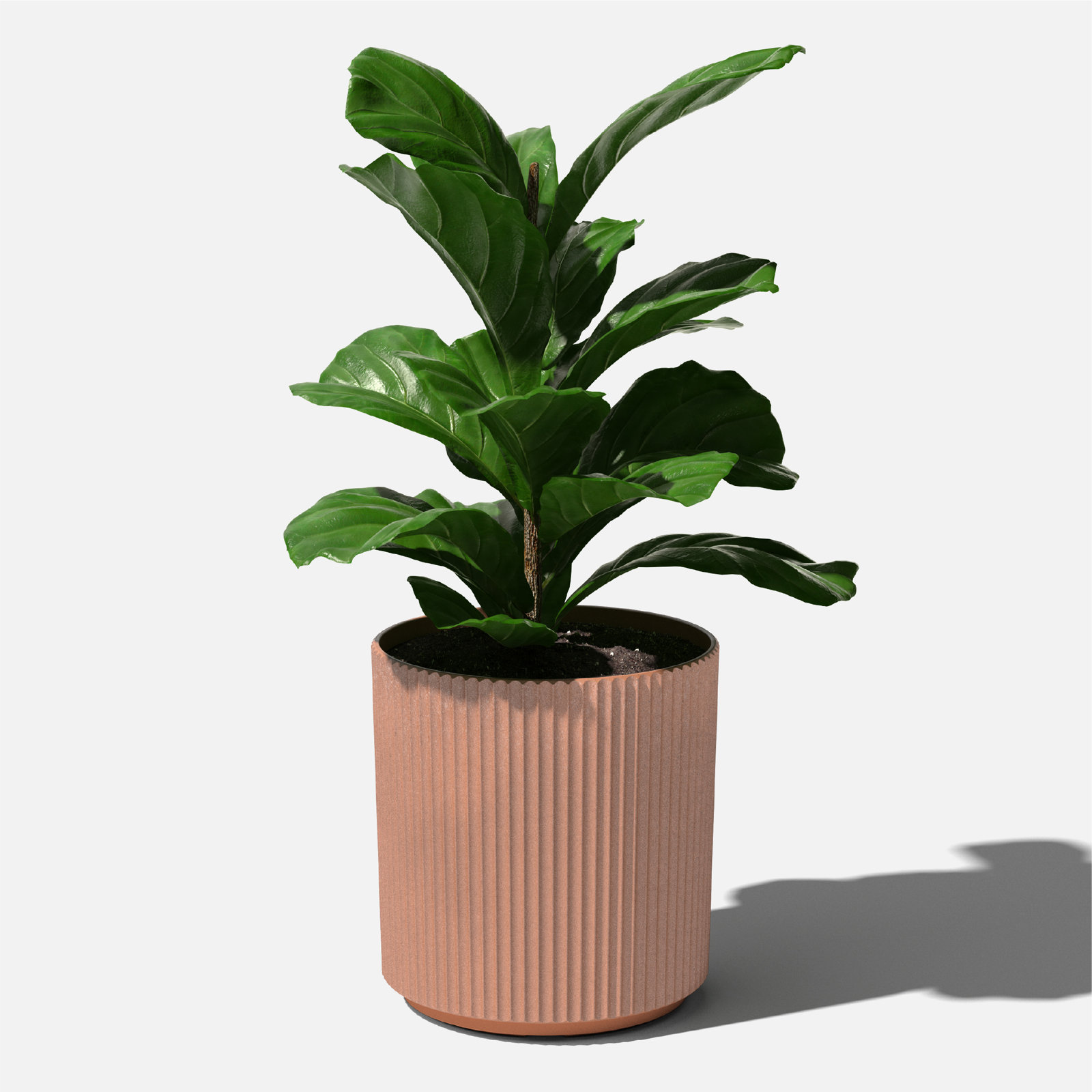 Demi Series 19" Pot Planter, 1, 19.75" H x 18.5" W x 18.5" D, Terracotta