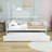Daybed Wood Bed with Trundle-626838709-626838707