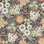 Anika Wallpaper Roll-876830078