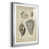 Silver Framed