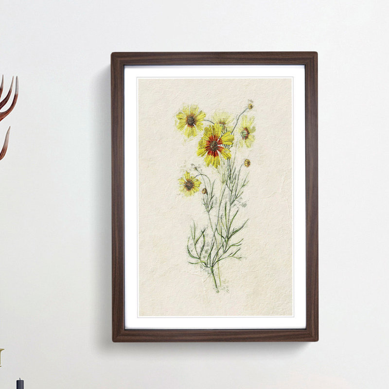 Illustration of Yellow Tickseed Flowers - Picture Frame Painting Print, 65cm H x 48cm W x 2cm D, Walnut Framed