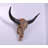 Bull Skull Life Size Statue-1445901555