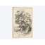 «Noble Tree II», impression sur toile-32896569-72225412-72225414