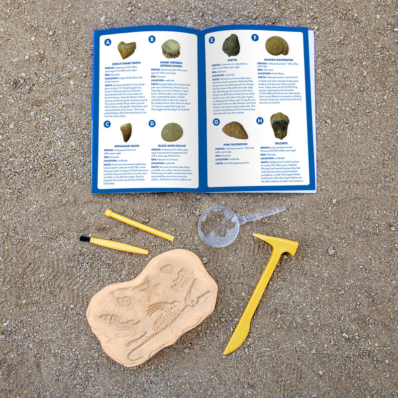 Geosafari Jr. Trousse de fouilles fossiles