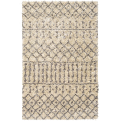 Amadi Southwestern Indoor Rug