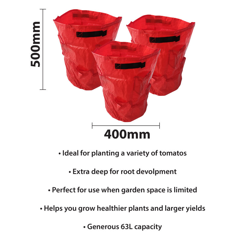 St. Helens Home & Garden Growing Kit