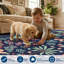 Tapis lavable 8 x 10 po-1925888503-1925888502