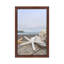 Crescent Beach Shells XIV by Alan Blaustein - Floater Frame Print on Canvas-948603315-948603319
