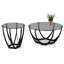 Ayeleen Glass Top Frame End Table